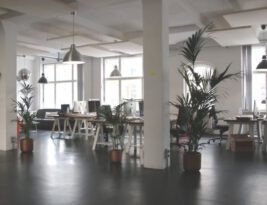 How to Create a Productive and Inspiring Office Environment?