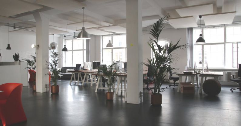 Office Environment - Green Leafed Plants