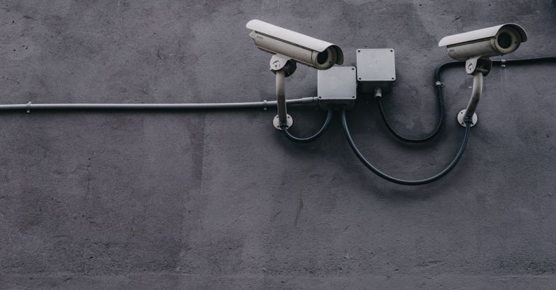 Privacy Concerns - Two Gray Bullet Security Cameras