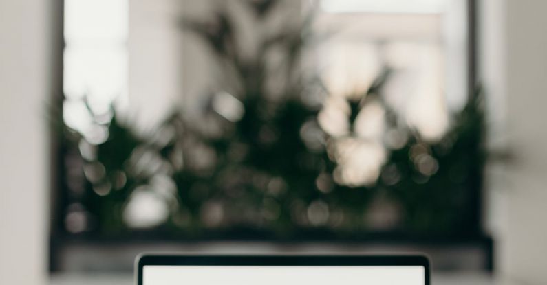 Scaling Startup - Photo of Person's Hands Using Laptop